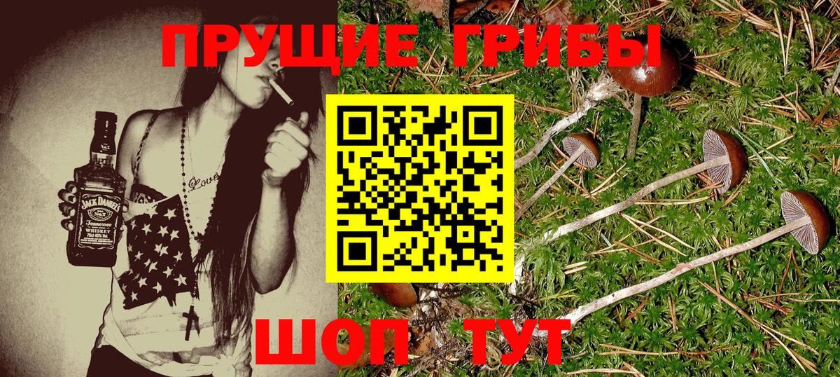 Галлюциногенные грибы прущие грибы Красноуфимск